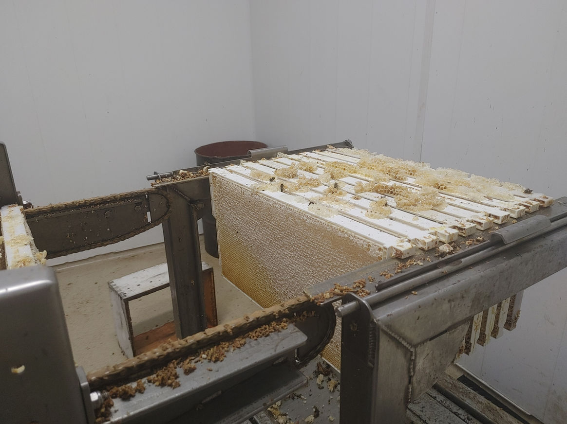 2021 Season photo 47